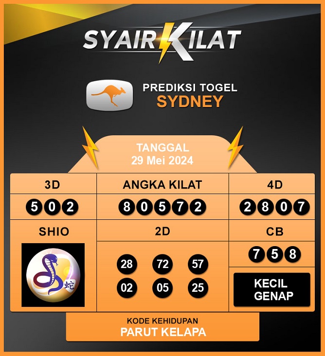 SYAIR SDY VIP